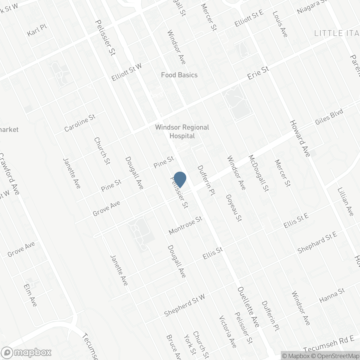 1165 OUELLETTE AVENUE, Windsor, Ontario N9A 4K1